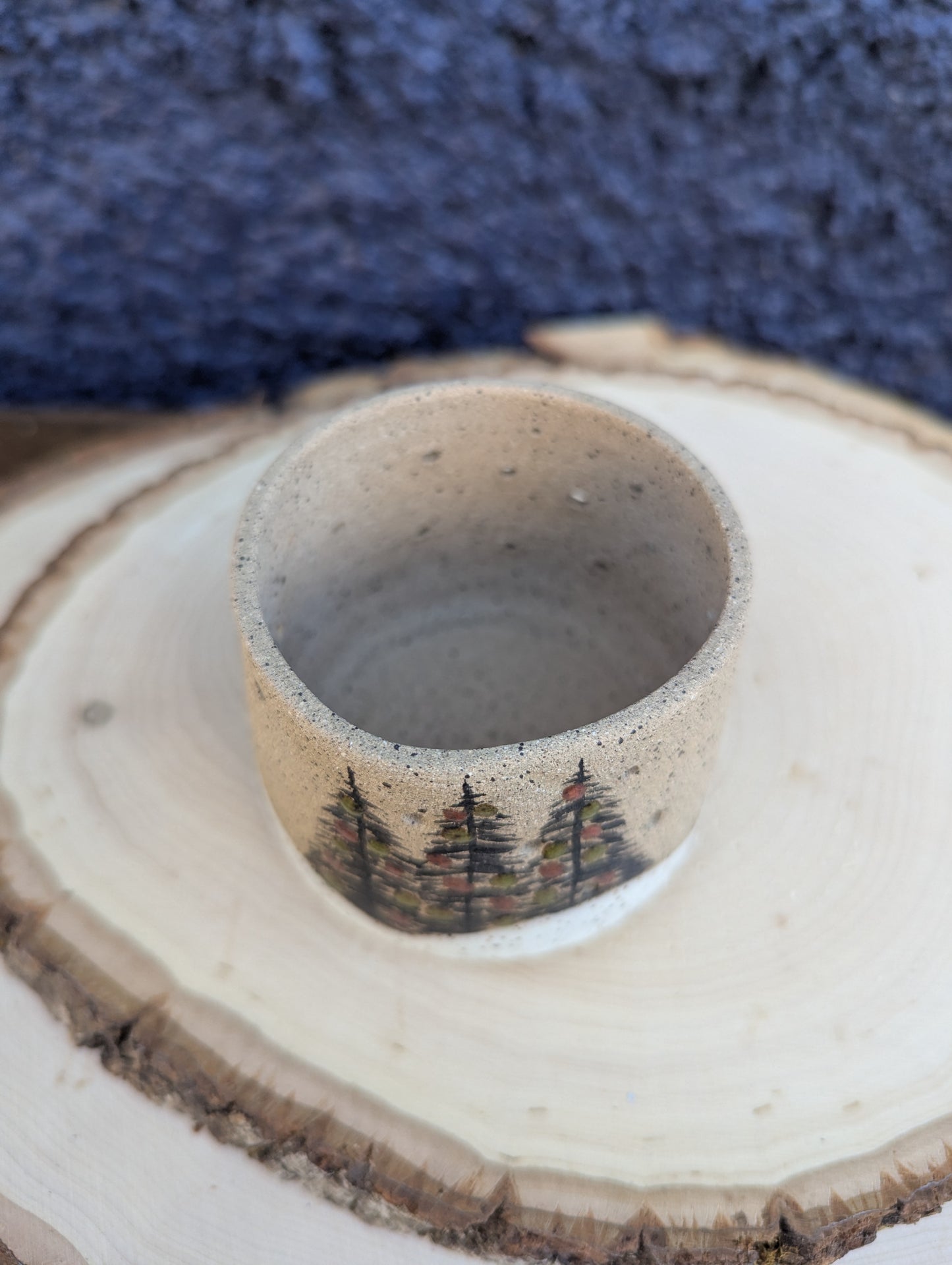 Winter Wonderland Luminary 1